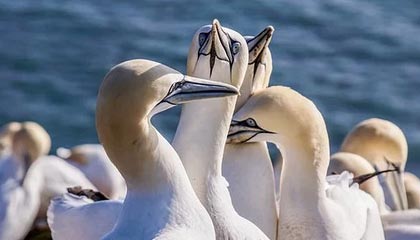 诸暨最新怎么提现公积金卡里的钱方法分析(最方便真实的诸暨怎么将公积金提现方法)