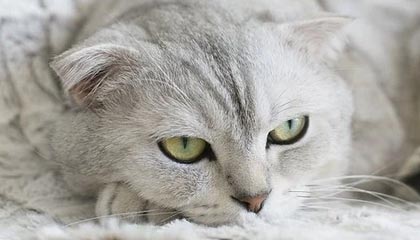 诸暨最新公积金卡提取现金操作及规定方法分析(最方便真实的诸暨公积金卡提取现金操作及规定是什么方法)